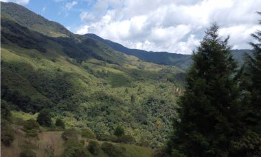 Hermoso Lote en venta – Vereda La Miel, Caldas