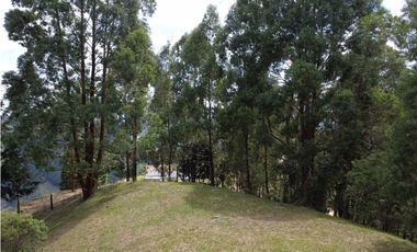 Hermoso Lote en venta – Vereda La Miel, Caldas