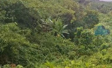 Jual Tanah Murah di Margamulya, Cileles, serang - Banten