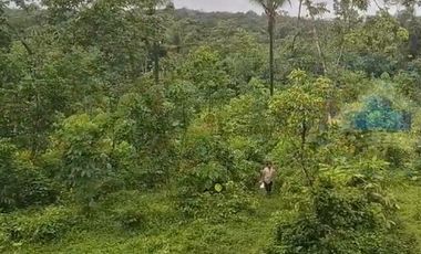 Jual Tanah Murah di Margamulya, Cileles, serang - Banten