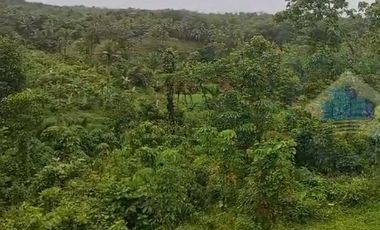 Jual Tanah Murah di Margamulya, Cileles, serang - Banten