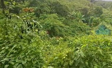 Jual Tanah Murah di Margamulya, Cileles, serang - Banten