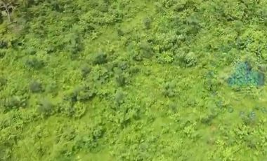 Jual Tanah Murah di Margamulya, Cileles, serang - Banten