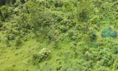 Jual Tanah Murah di Margamulya, Cileles, serang - Banten