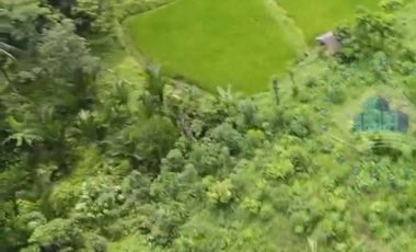 Jual Tanah Murah di Margamulya, Cileles, serang - Banten