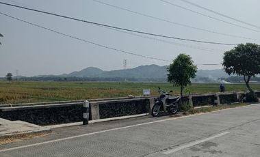 Tanah Dijual View Sawah dan pegunungan menoreh dekat Bandara YIA