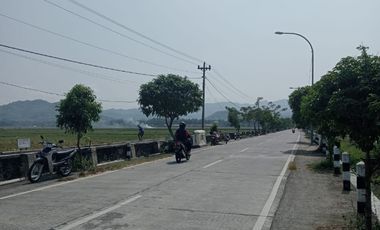 Tanah Dijual View Sawah dan pegunungan menoreh dekat Bandara YIA