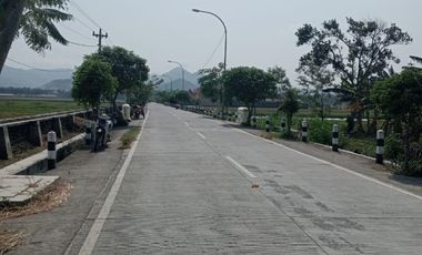 Tanah Dijual View Sawah dan pegunungan menoreh dekat Bandara YIA