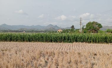 Tanah Dijual View Sawah dan pegunungan menoreh dekat Bandara YIA