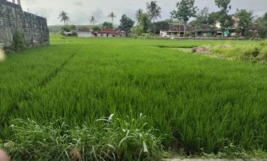 Tanah Dijual Tepi jl Mandung dekat kampus UNY wates