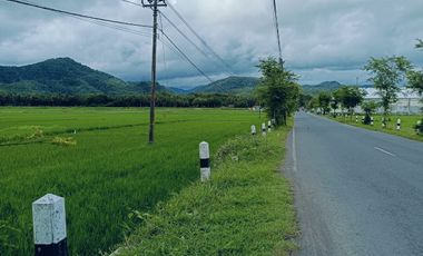 Tanah Dijual view sawah dan pegunungan Menoreh dekat Bandara YIA