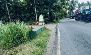 Tanah Dijual view sawah dan pegunungan Menoreh dekat Bandara YIA