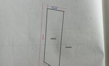 Tanah Dijual view sawah dan pegunungan Menoreh dekat Bandara YIA