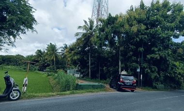 Tanah Dijual view sawah dan pegunungan Menoreh dekat Bandara YIA