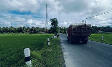 Tanah Dijual view sawah dan pegunungan Menoreh dekat Bandara YIA