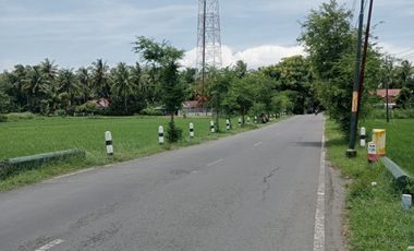 Tanah Dijual view sawah dan pegunungan Menoreh dekat Bandara YIA