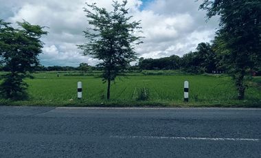 Tanah Dijual view sawah dan pegunungan Menoreh dekat Bandara YIA