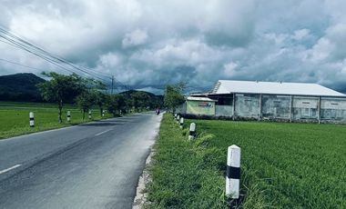 Tanah Dijual view sawah dan pegunungan Menoreh dekat Bandara YIA