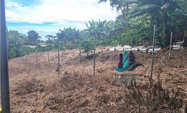 VENDO.2HECTAREAS EN.VOLCANCITO