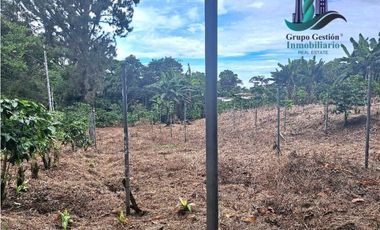 VENDO.2HECTAREAS EN.VOLCANCITO