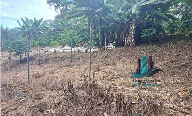 VENDO.2HECTAREAS EN.VOLCANCITO