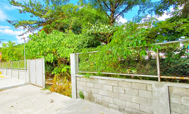 Commercial Lot for Lease Along Shaw Blvd. Mandaluyong City
