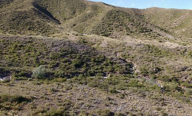 EXCELENTE TERRENO EN POTRERILLOS SOBRE RUTA 82