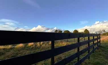 PARCELAS 5000 M2 SECTOR DE CAÑITAS LOS MUERMOS