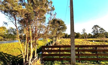 PARCELAS 5000 M2 SECTOR DE CAÑITAS LOS MUERMOS