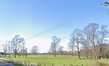 PARCELAS 5000 M2 SECTOR DE CAÑITAS LOS MUERMOS