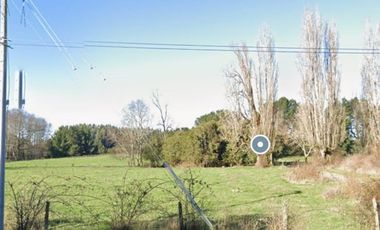 PARCELAS 5000 M2 SECTOR DE CAÑITAS LOS MUERMOS