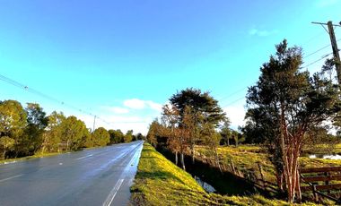 PARCELAS 5000 M2 SECTOR DE CAÑITAS LOS MUERMOS
