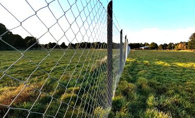 PARCELAS 5000 M2 SECTOR DE CAÑITAS LOS MUERMOS