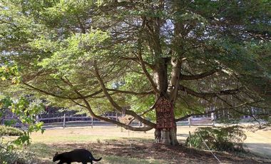 Casa en Venta en Condominio Los Volcanes - Llanquihue
