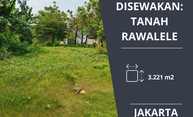 Tanah disewakan
