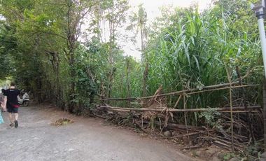 di jual tanah murah   1 menit ke pantai  pemuteran   buleleng link vila