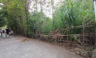 di jual tanah murah   1 menit ke pantai  pemuteran   buleleng link vila