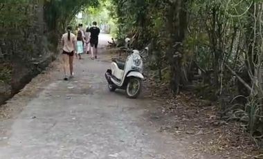 di jual tanah murah   1 menit ke pantai  pemuteran   buleleng link vila