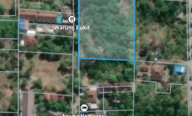 di jual tanah murah   1 menit ke pantai  pemuteran   buleleng link vila