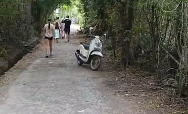 di jual tanah murah   1 menit ke pantai  pemuteran   buleleng link vila