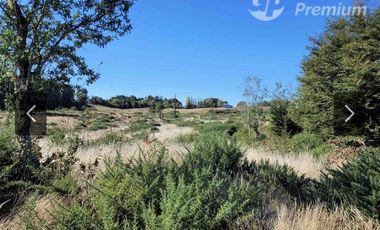 Parcela en Venta en curahue a 30 minutos de castro