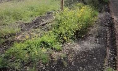 Parcela en Venta en curahue a 30 minutos de castro