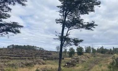 Parcela en Venta en curahue a 30 minutos de castro