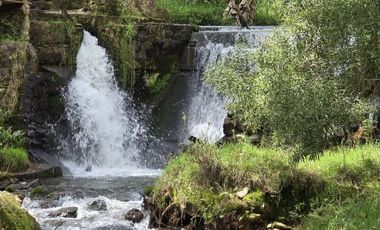 Finca en Venta Ubicado en Guarne Codigo 2101