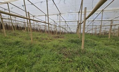 Terreno en Venta Ubicado en Guarne Codigo 2102