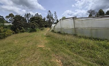 Terreno en Venta Ubicado en Guarne Codigo 2102