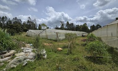 Terreno en Venta Ubicado en Guarne Codigo 2102