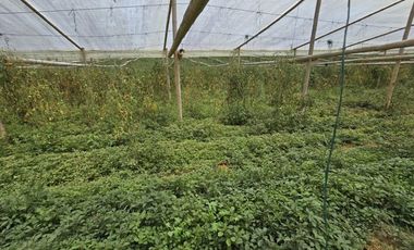 Terreno en Venta Ubicado en Guarne Codigo 2102