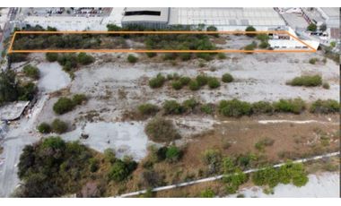 TERRENO EN PROLONGACION MADERO RENTA AREA DE NEGOCIOS RENTA 7890 M2
