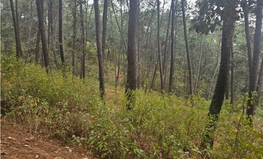 Bonita cabaña en zona  de bosque de mazamitla jalisco